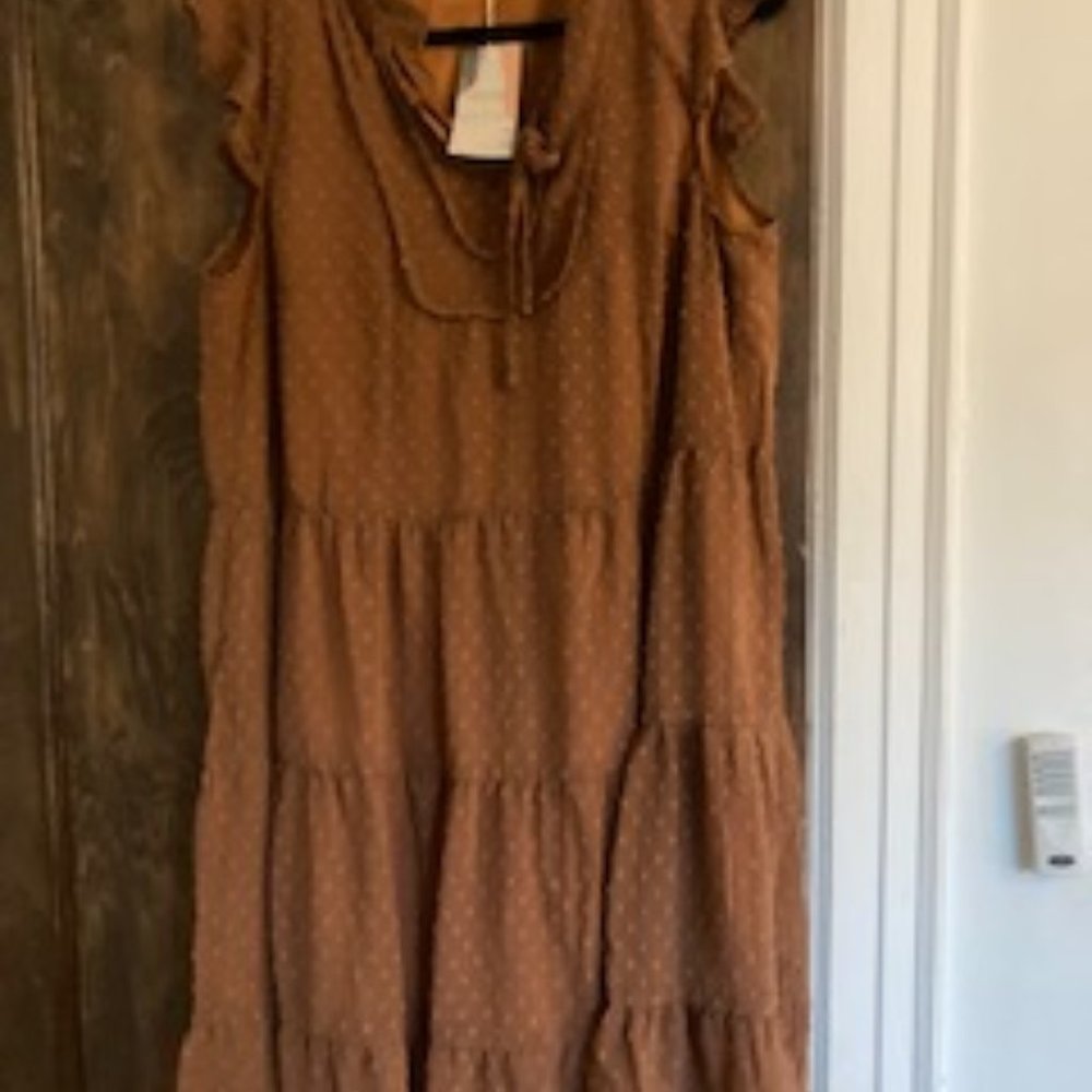 Brown Dress with Overlay